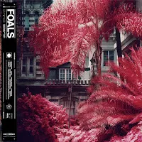 Foals